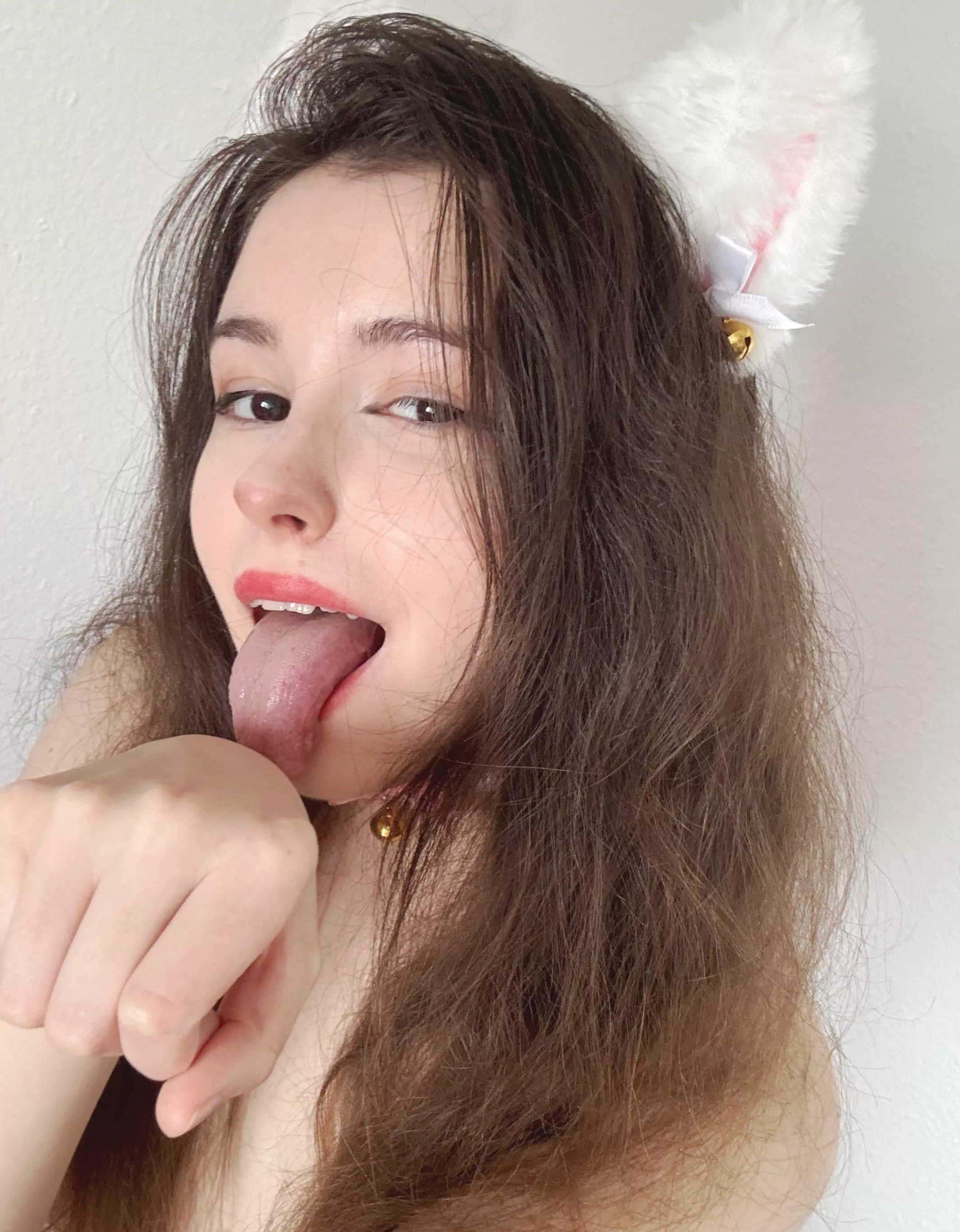 Let the cat take you to Wonderland posted by ButtyBumpy