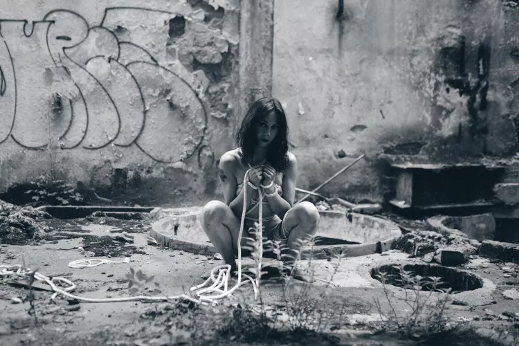 Plant... by pokemon_art_45