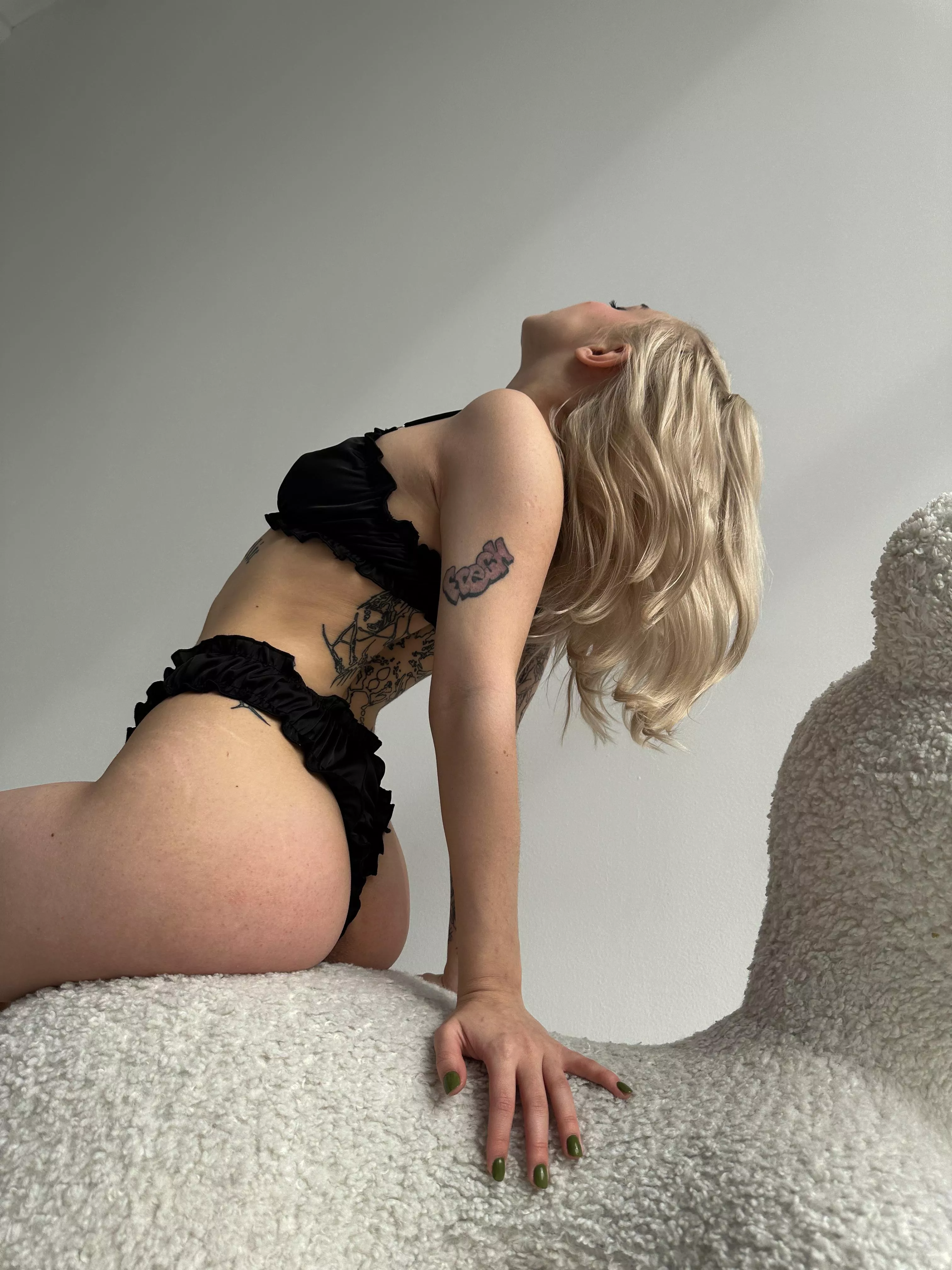 Polly posted by tavielin11