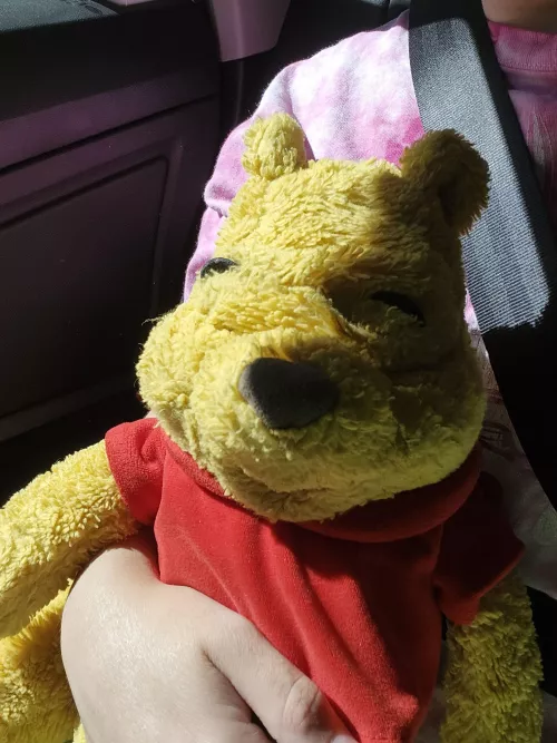 ⋆˙ ִֶָ ࿐ 𖹭 Pooh and I by snowycourts