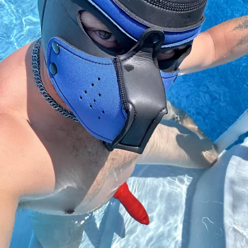 Puppy pool time! by ManAnimal172