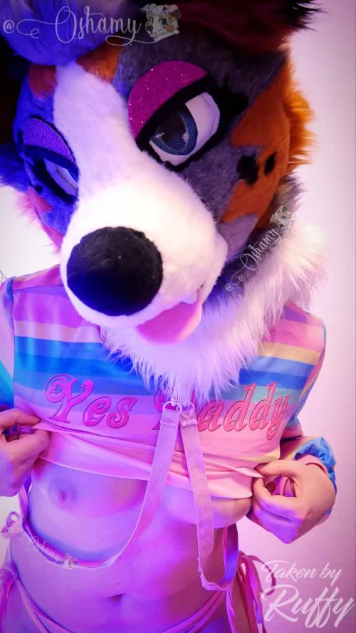 Won't you help me get this top off? 😇🥰👉👈 by Oshamy_the_Furry_YT