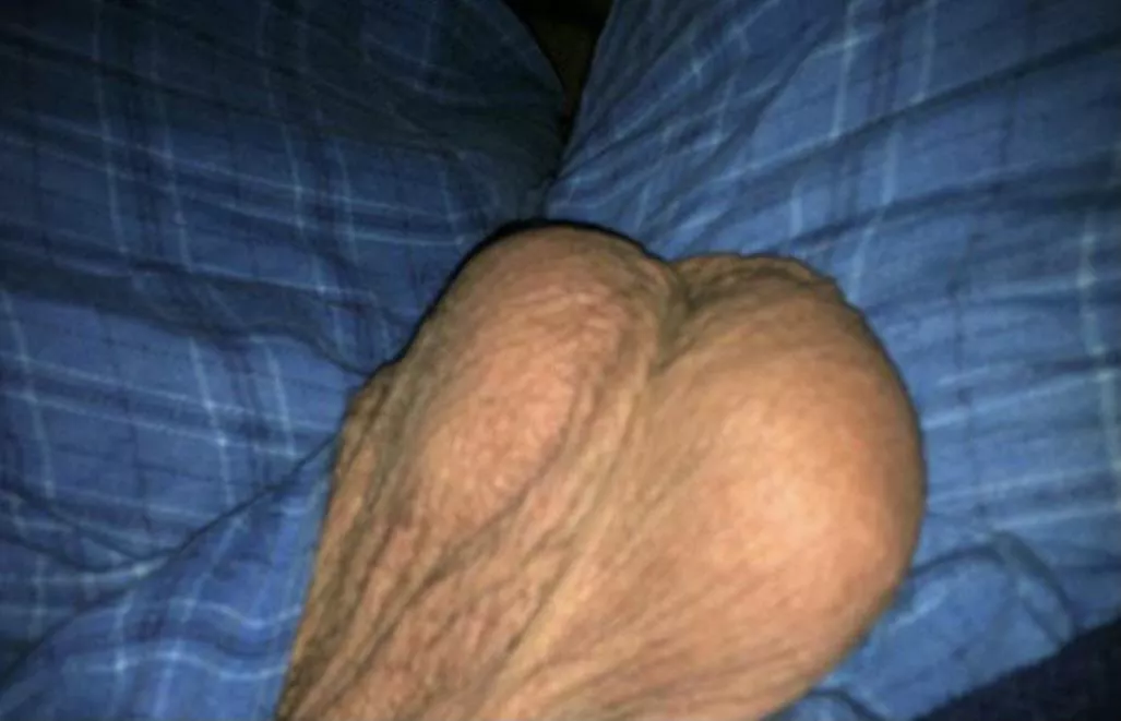 Would you empty them? posted by LividElephant6537