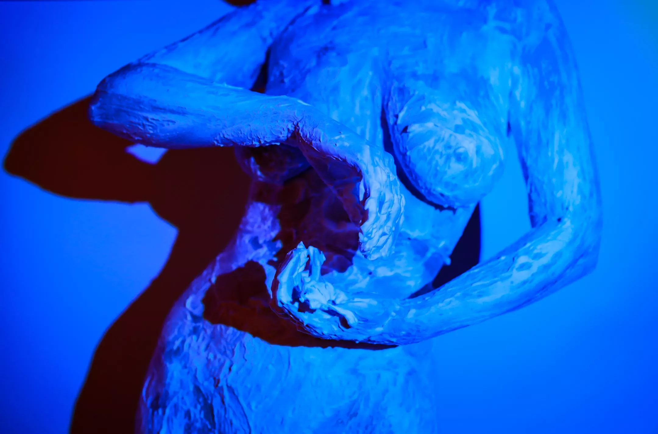 Yin and yang  posted by modeladventurer