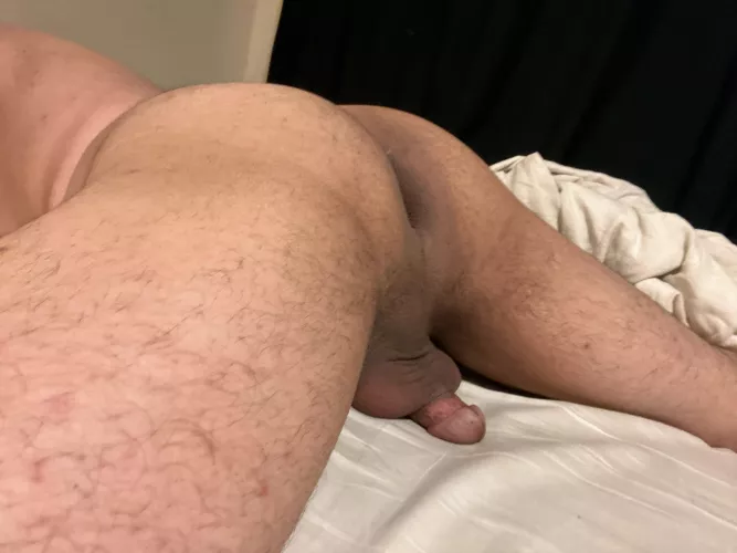 Creampies only  by Traditional_Gas_7730