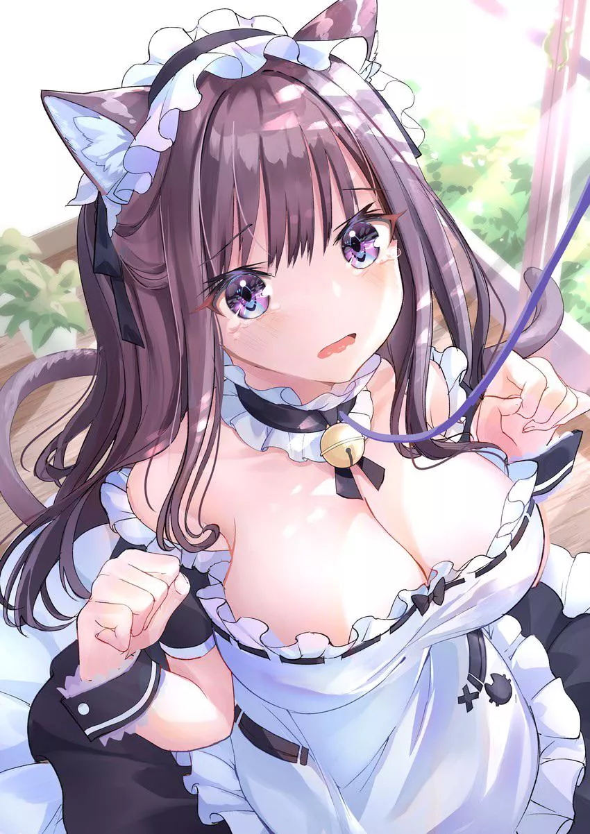 Cute pet Maid posted by Ok_Bar2265