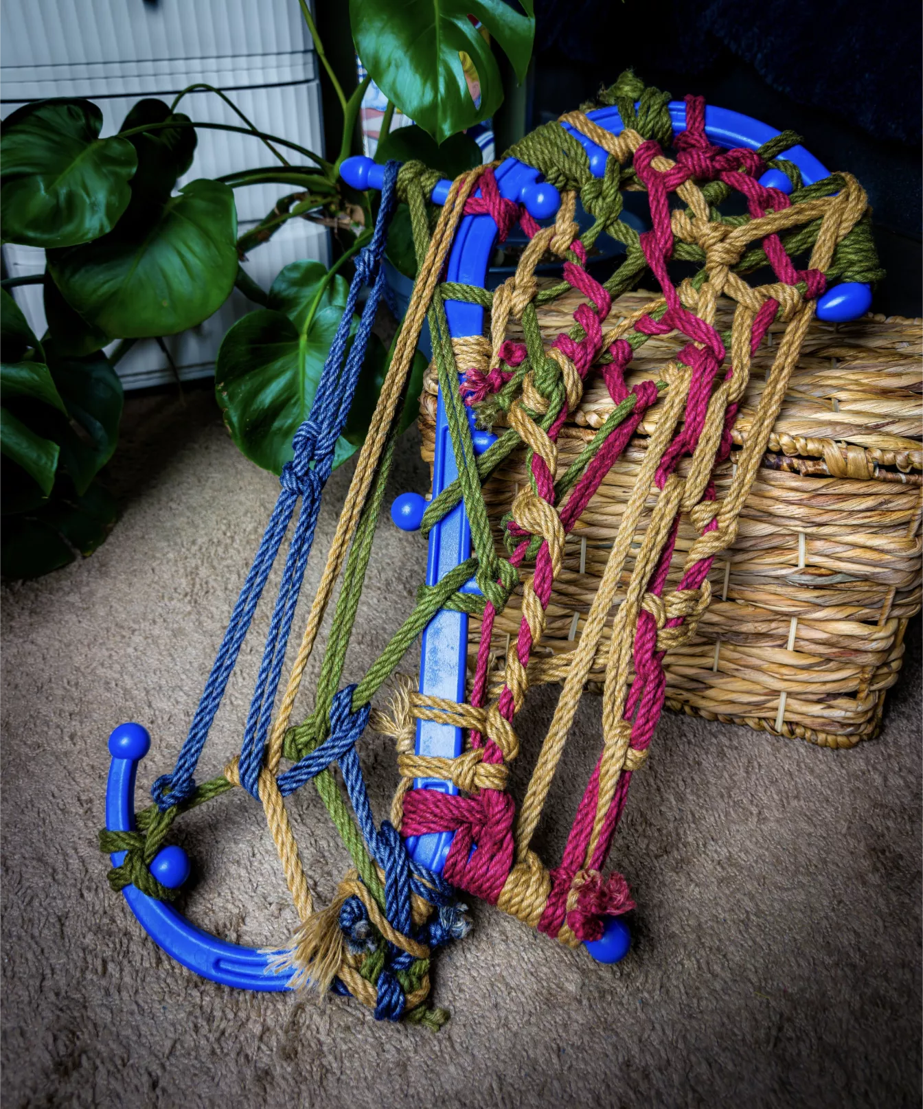 Further studies with the Back Buddy posted by SummaryExecutions