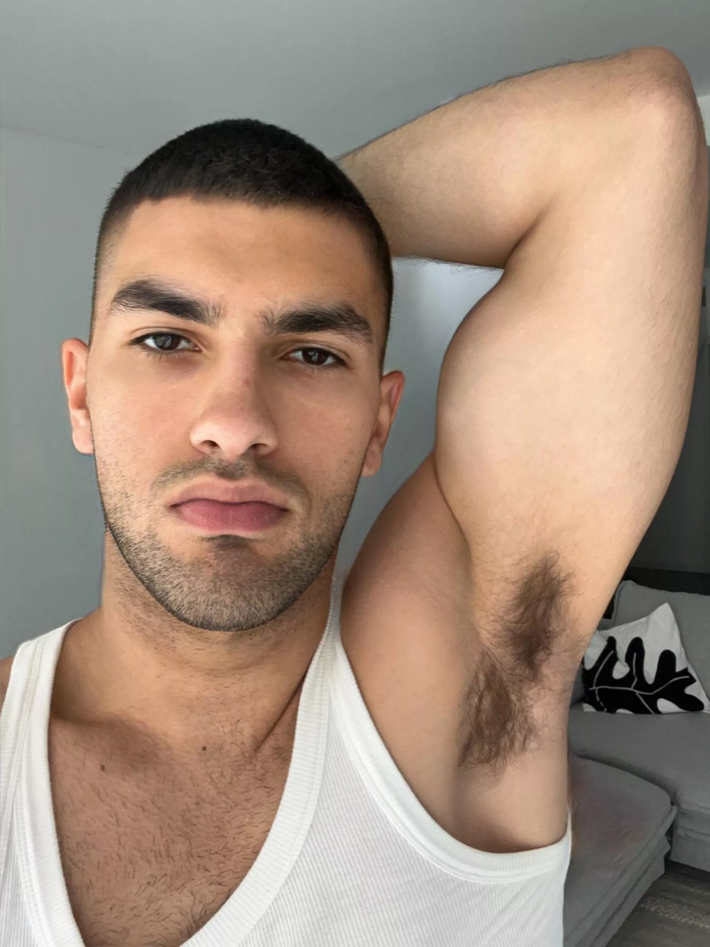 Gumbro told me to shave. Is he sus?  posted by UkranianAlphA