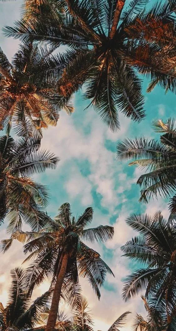 Living on island time posted by sweetvelvet224