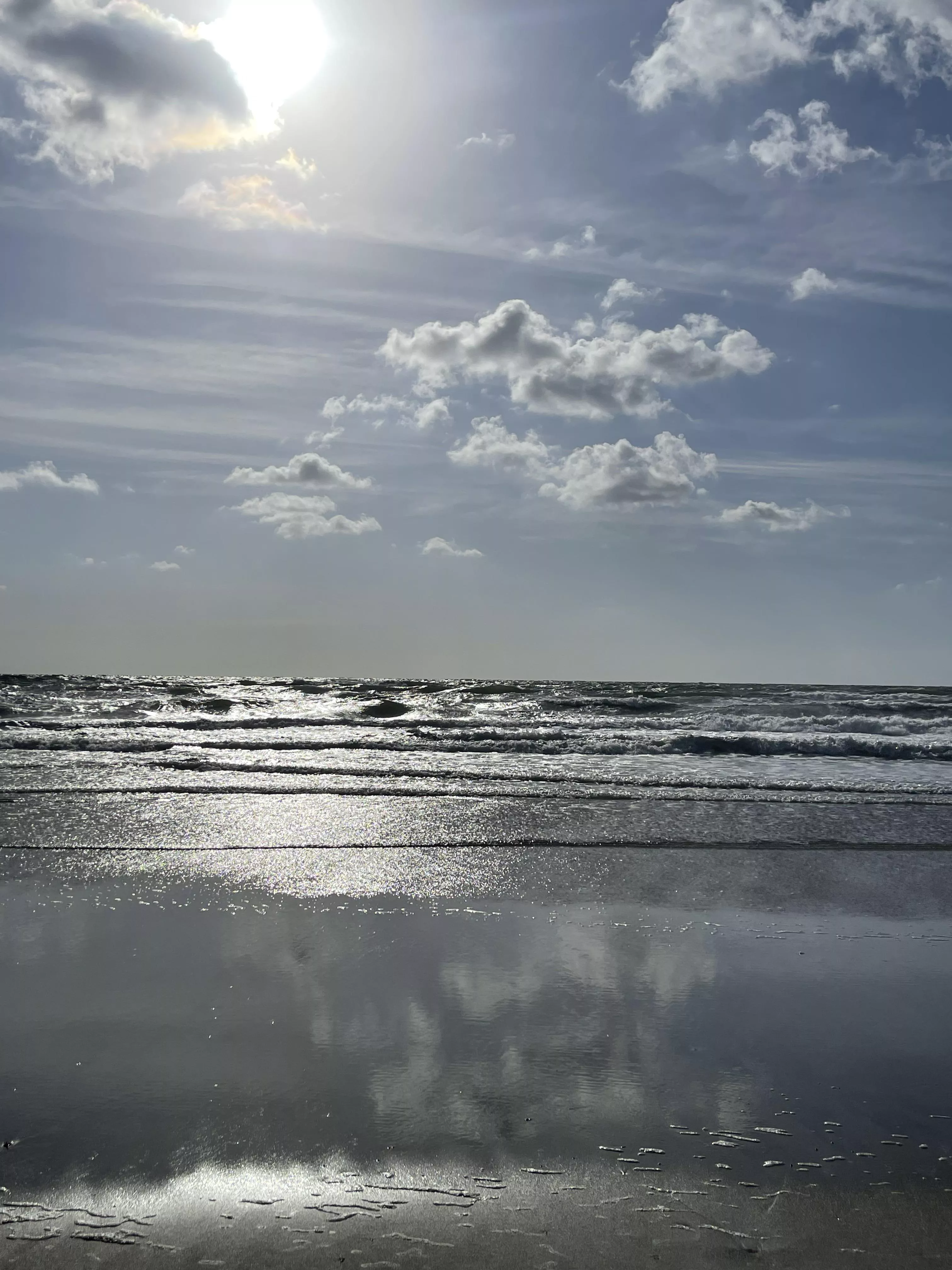 Morning beach walk  posted by VagariTurtle