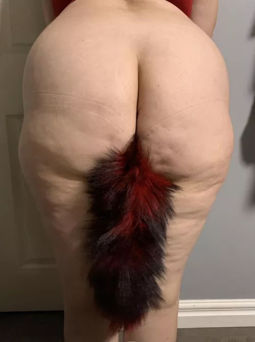 My fox tail  by sexyassfox