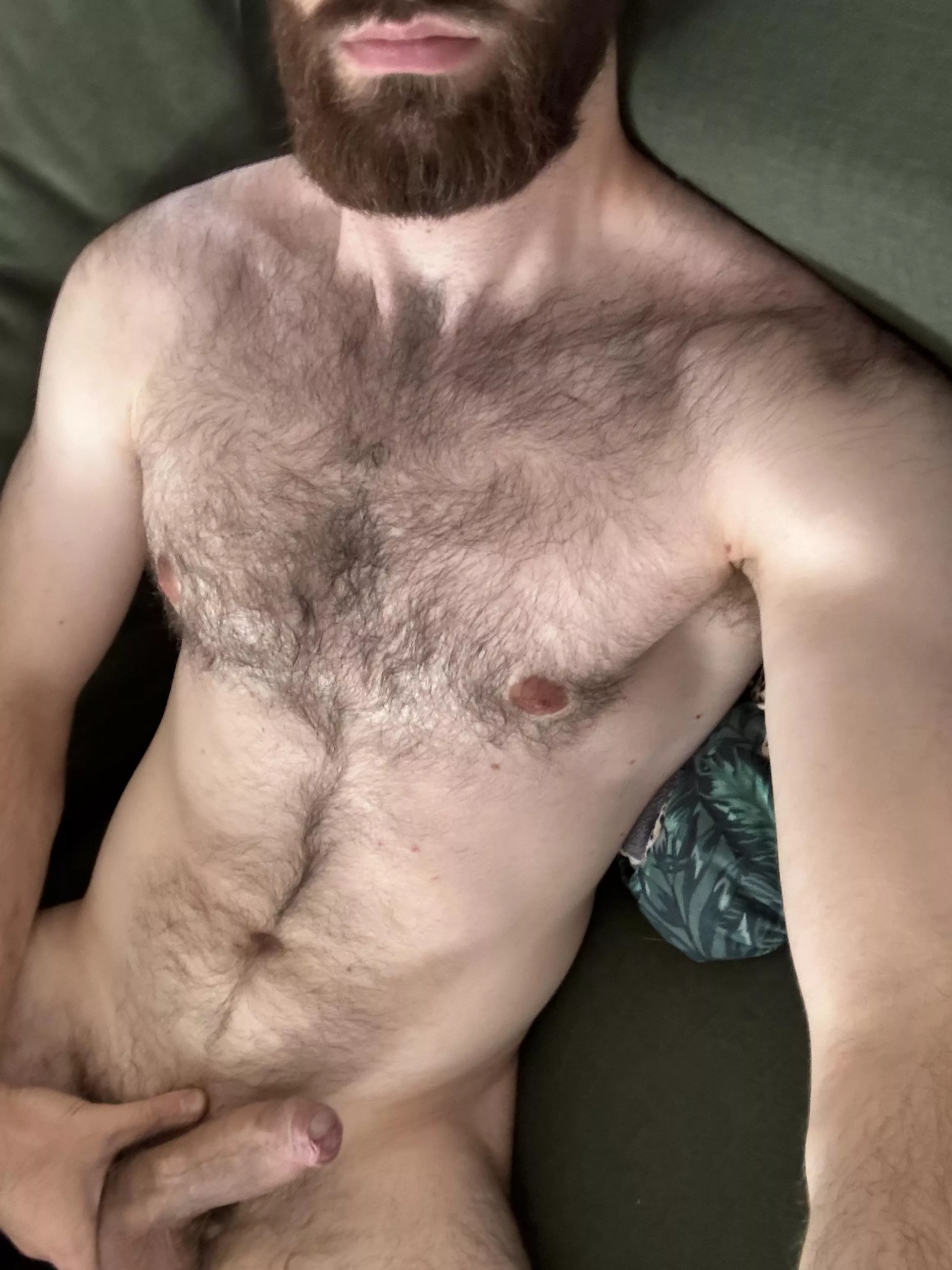 Need your advices to grow the fur posted by Lost-Cryptographer12