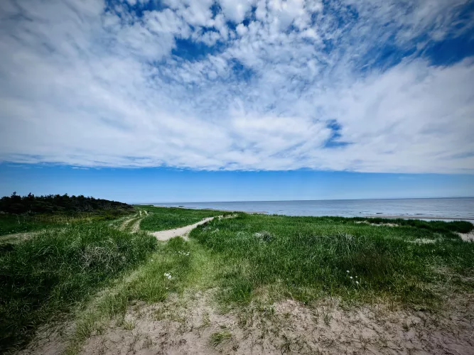 New Brunswick Beach  by Charity_dd