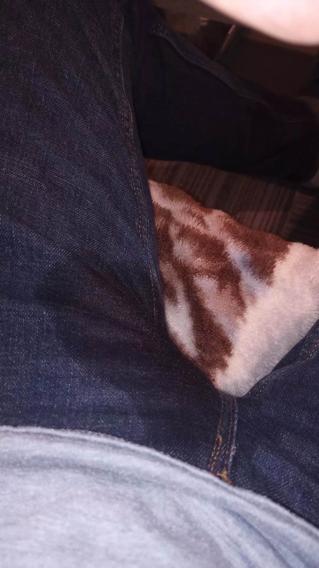 Oh jeez...that felt good... posted by [deleted]