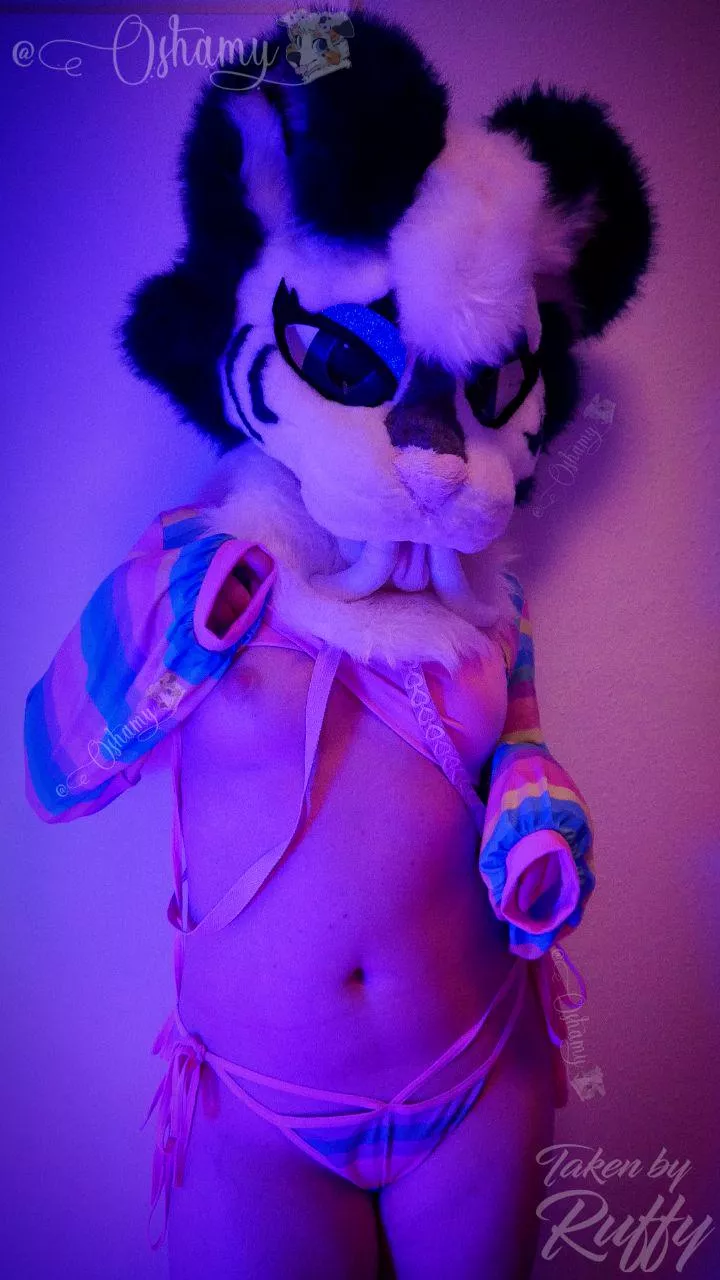 ~ sharp teeth and hot boobs - my favourite combination 😜🥵 posted by Oshamy_the_Furry_YT