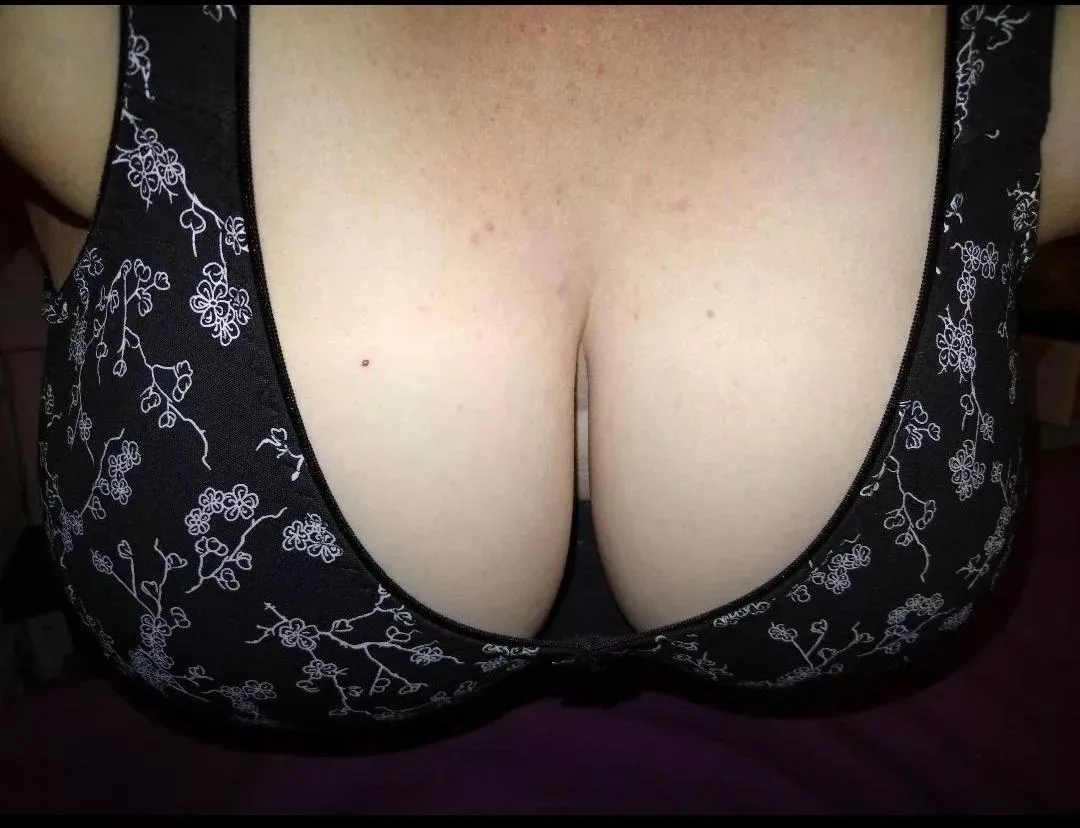 42f with 48gg cups posted by Sea_Shape4574