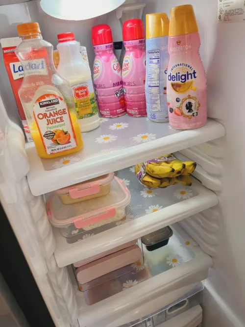 I got new fridge shelf liners and they are so cute 🌼 by FeliciaVox
