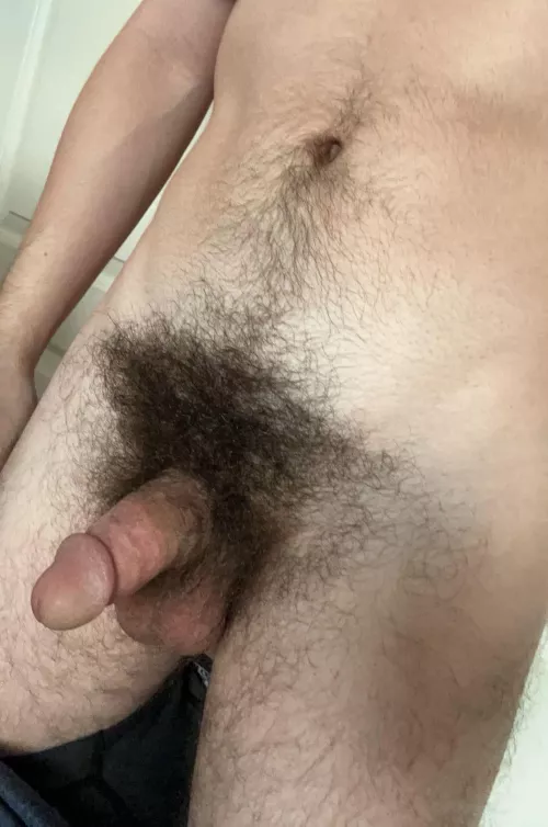Think my bush and soft cock go well together by Ok_Suggestion_3510