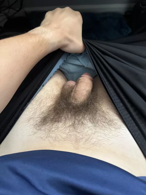 [24] My soft hairy cock  by nickscutcock