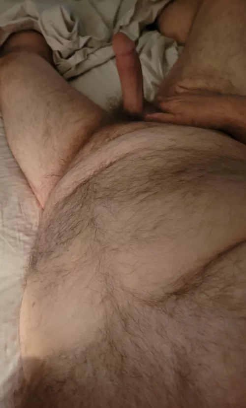 56 bear dad. DM open by Dlolder