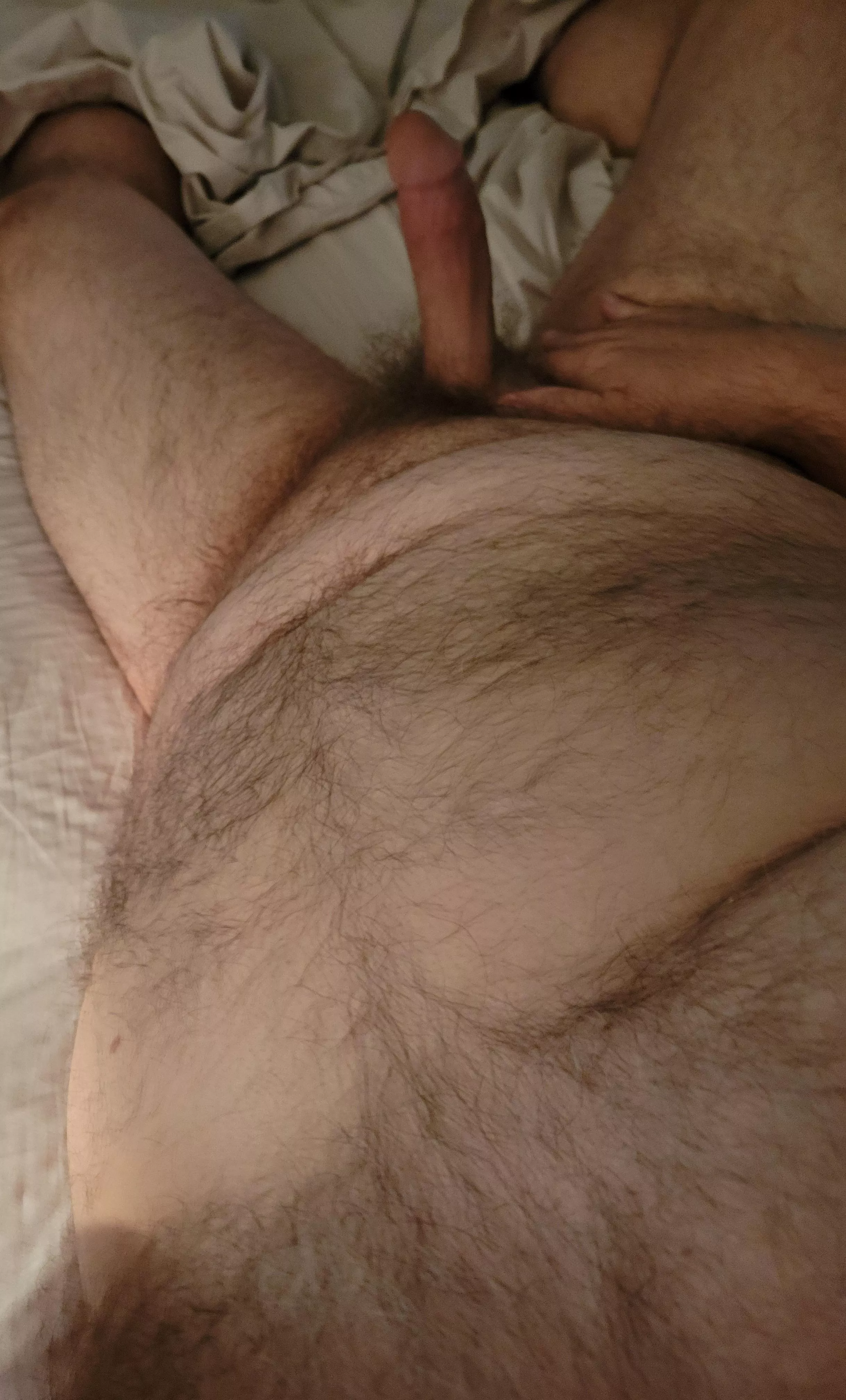 56 bear dad. DM open posted by Dlolder