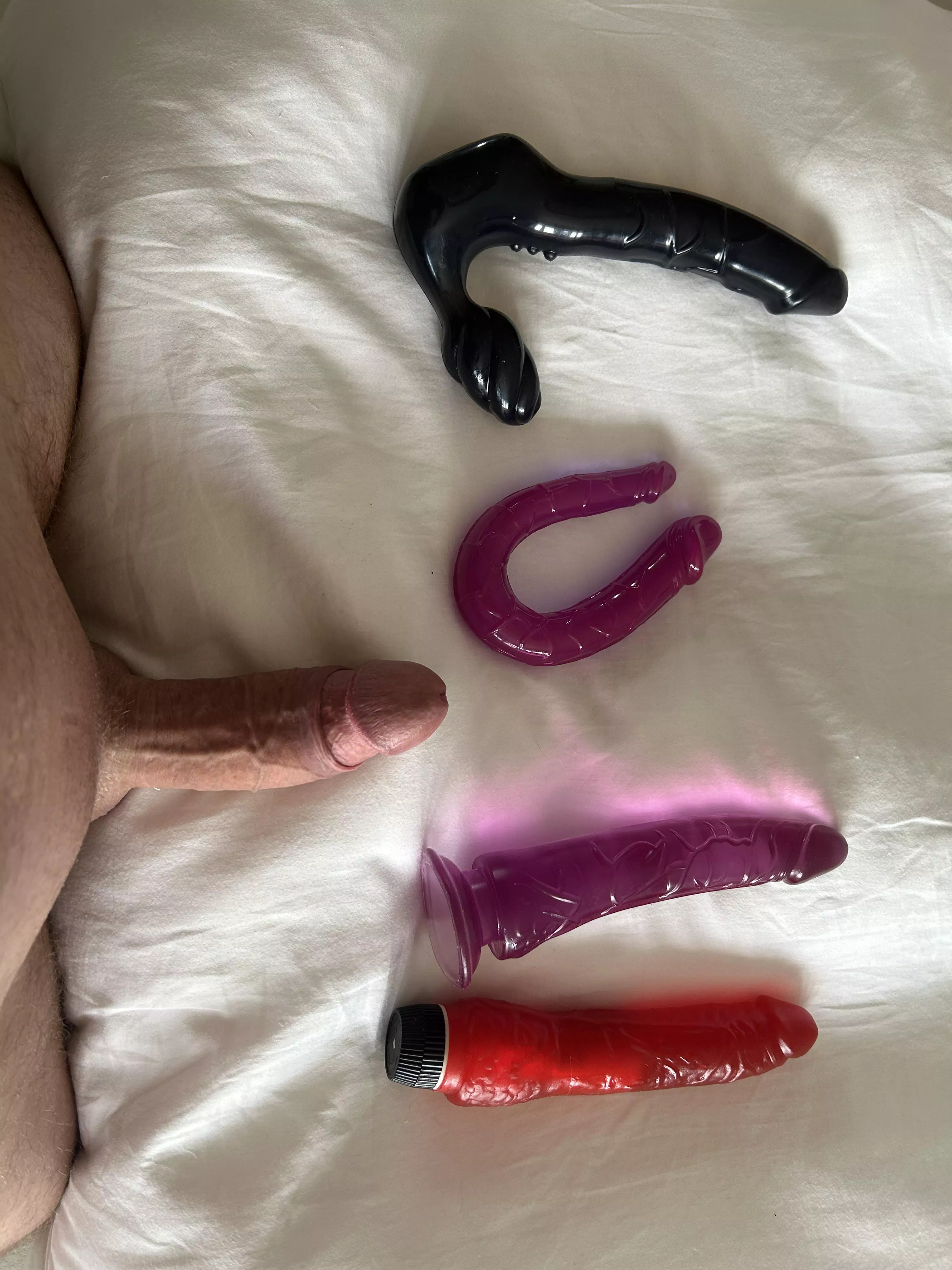 Choices choices!  posted by Tinman636363