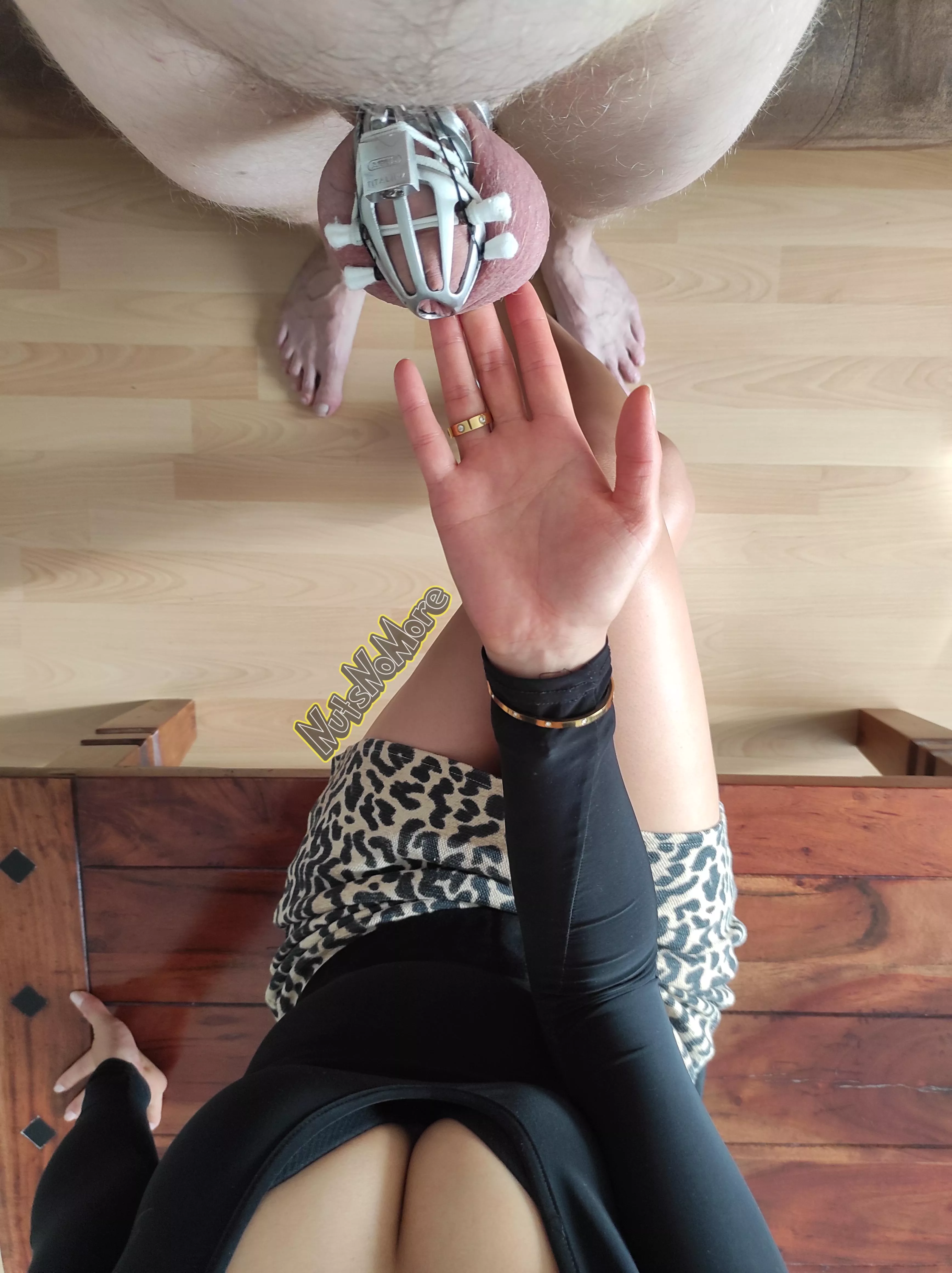 Ever wondered how many men will release themselves this weekend, while you'll stay locked & dry... Again. posted by NutsNoMore