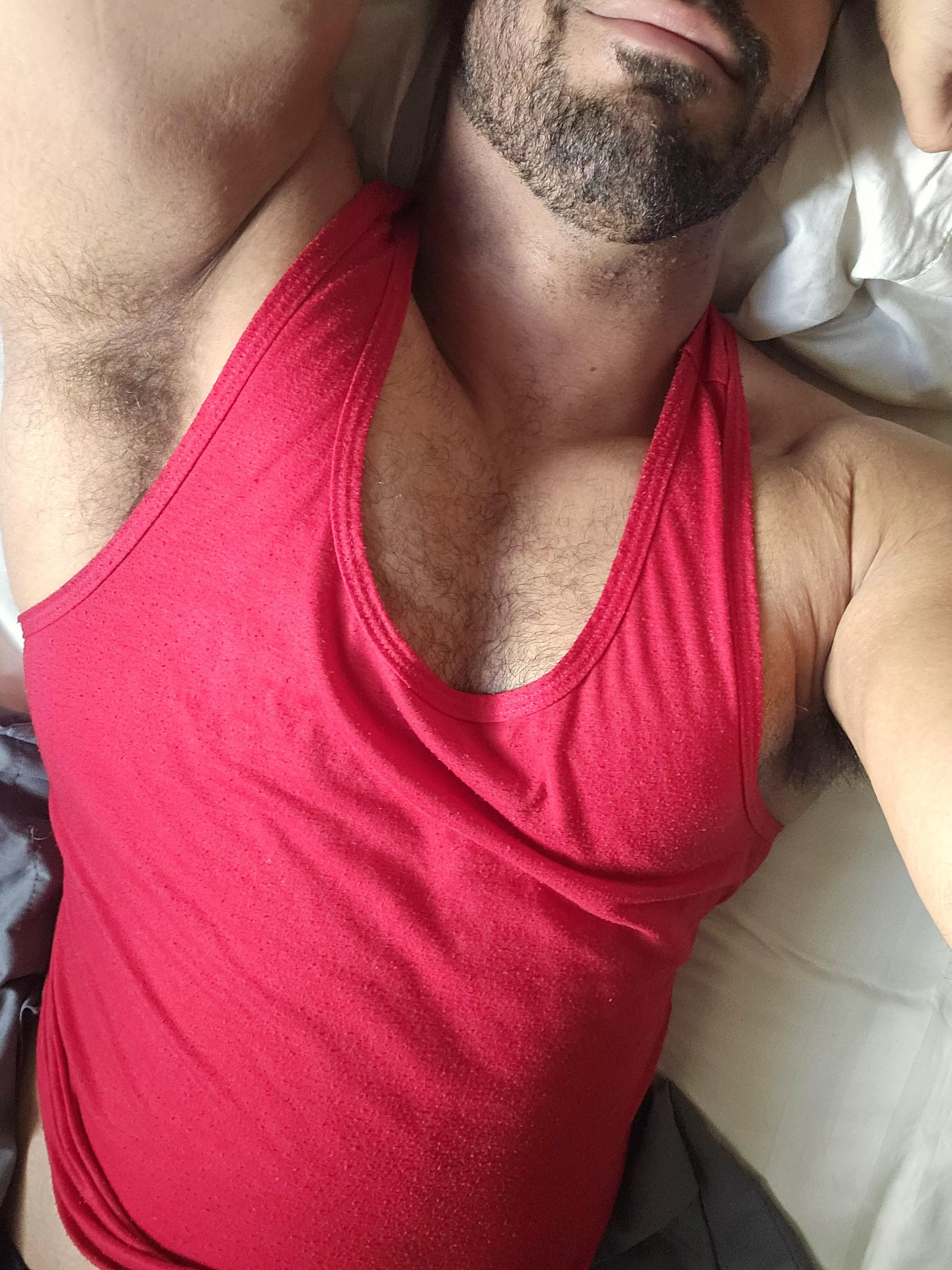 Good morning, now say it back posted by areano23