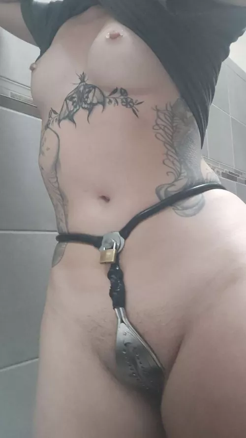 It loves to be locked by DaddysKitten0229