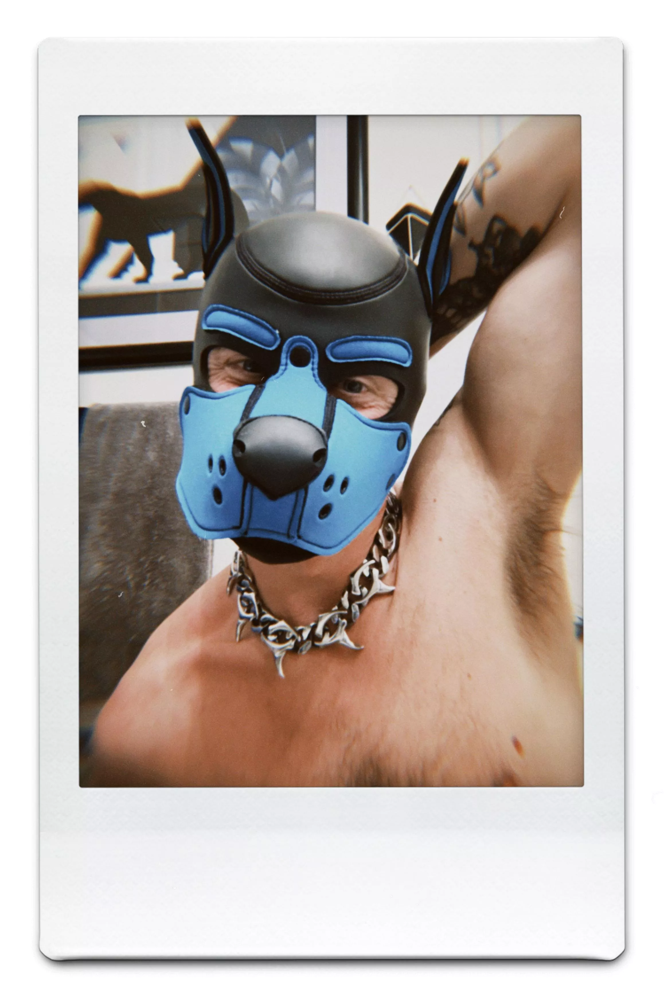 It’s been awhile! Hi! posted by LuciferrVI