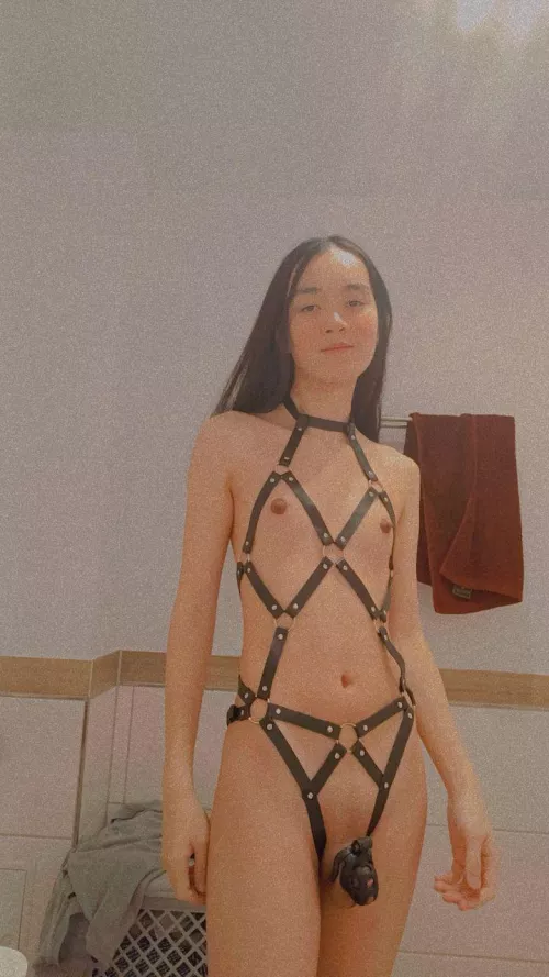 Just got a new cage, my third one! I like it the most! by uppymoder