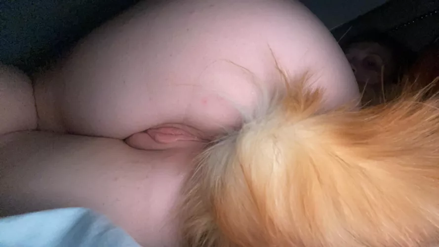 Needy puppy taking a nap. by Extra-Acanthisitta63