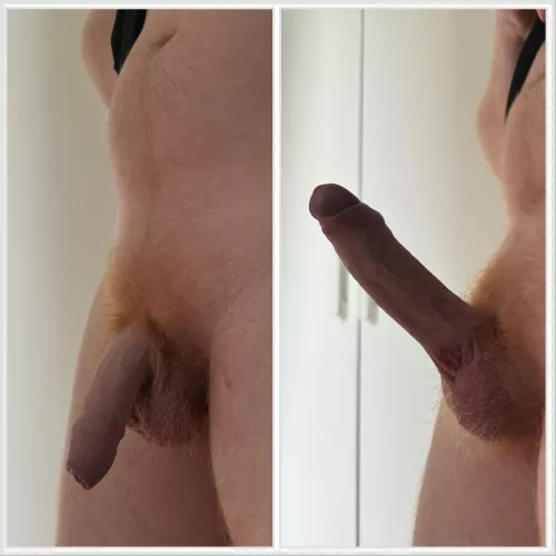 Soft or hard? by Carrototo