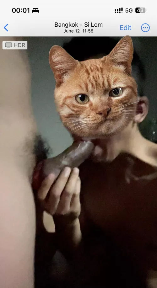 Suck MB in Bangkok by Legitimate-Wave-4780