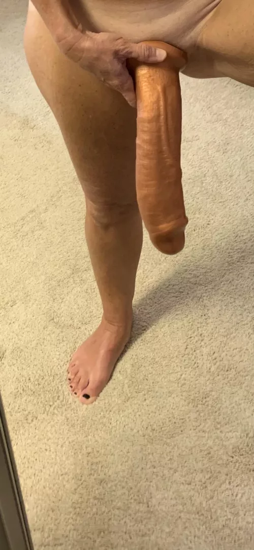 Toys and feet are best.  by Island_Sole11