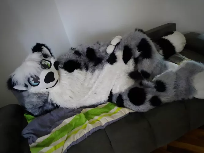 Happy Friday all cute floofs! 🥰 by CharliePaw