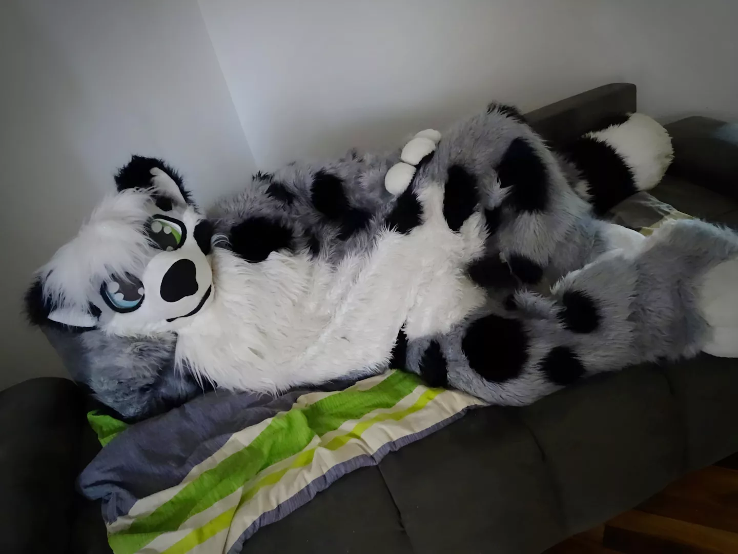 Happy Friday all cute floofs! 🥰 posted by CharliePaw