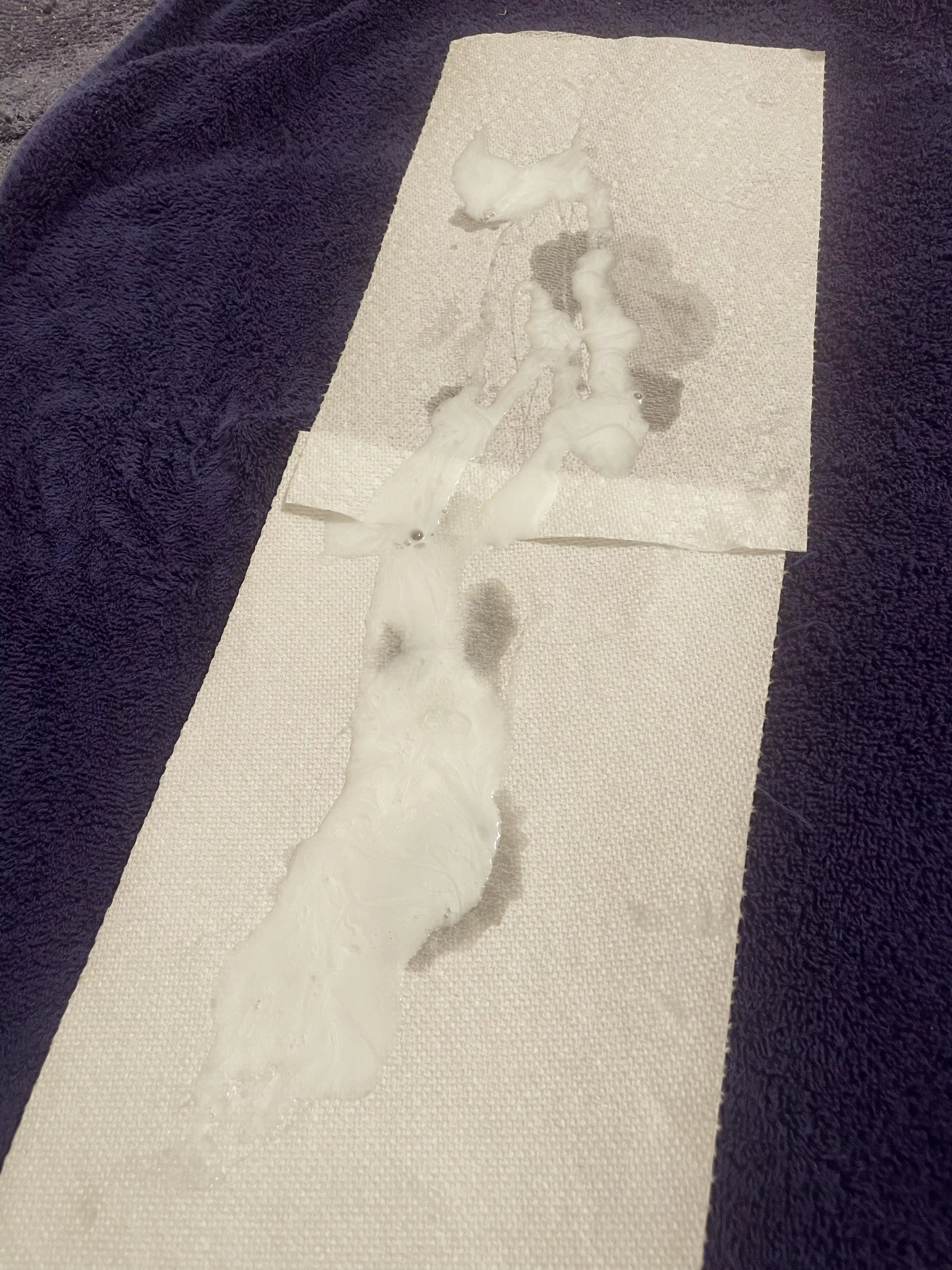 Huge load from this morning… posted by Silent_Alps_9091