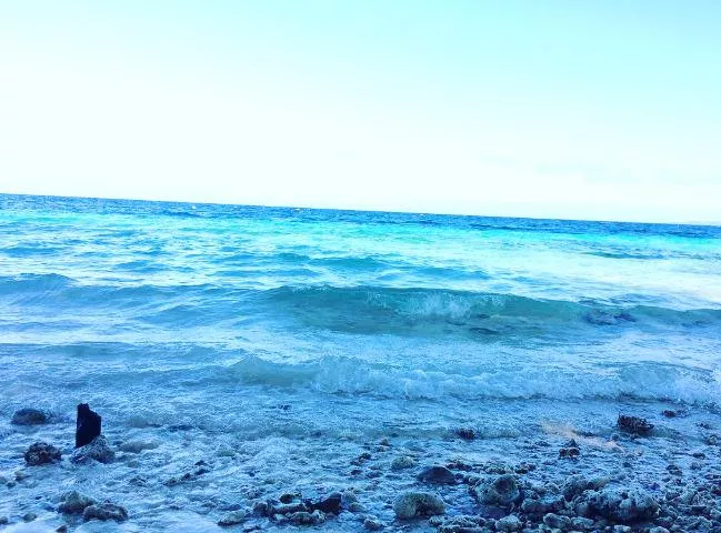 Just chillin' at the beach, savoring each sip of beer as the waves gently roll in, feeling a sense of peace wash over me. posted by SparklingGems1