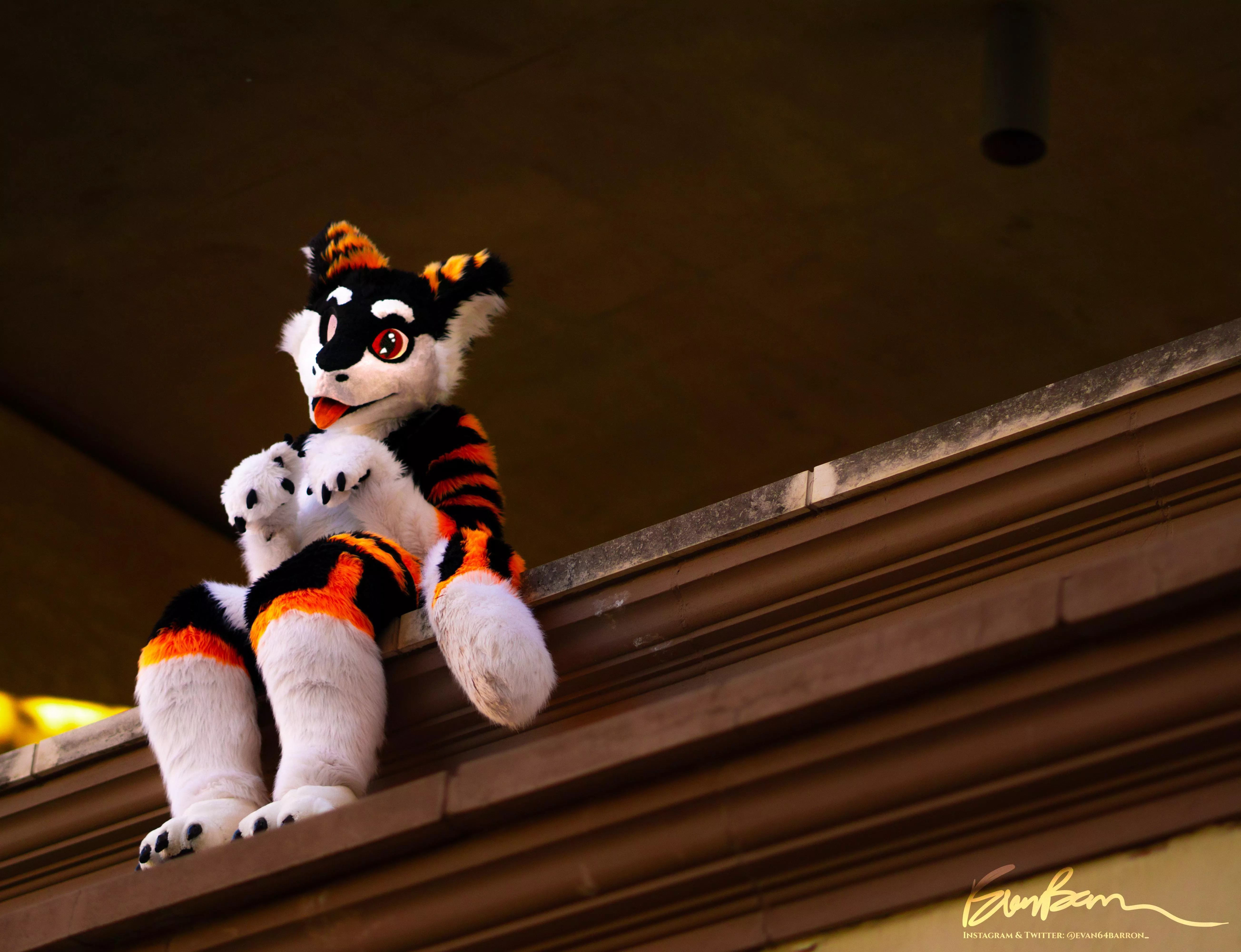 Look! Ima Gargoyle!! :>  posted by SilySox