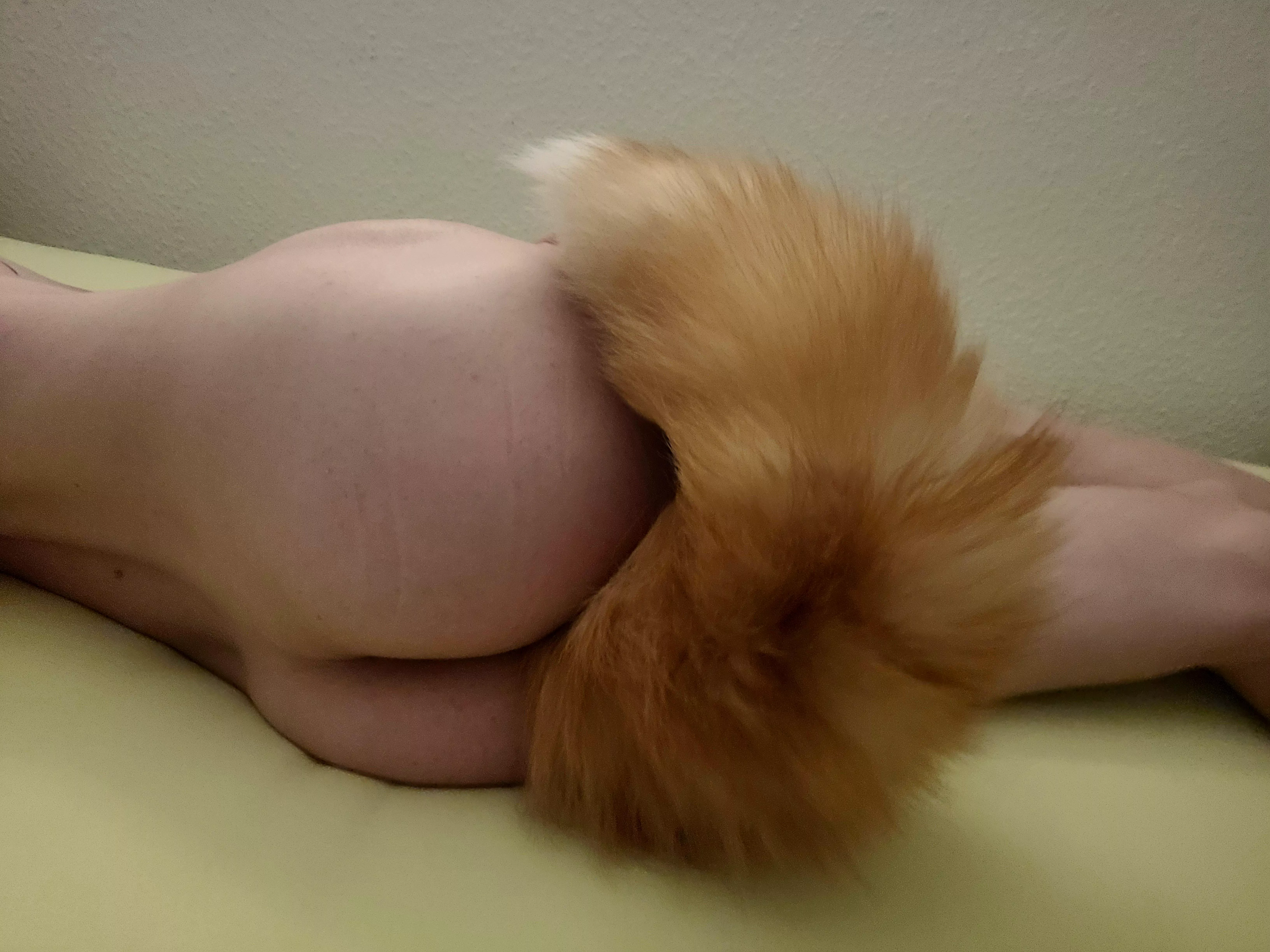 Still new to this. I love my tail 🥰 any recommendations? posted by Head-Pomegranate-372