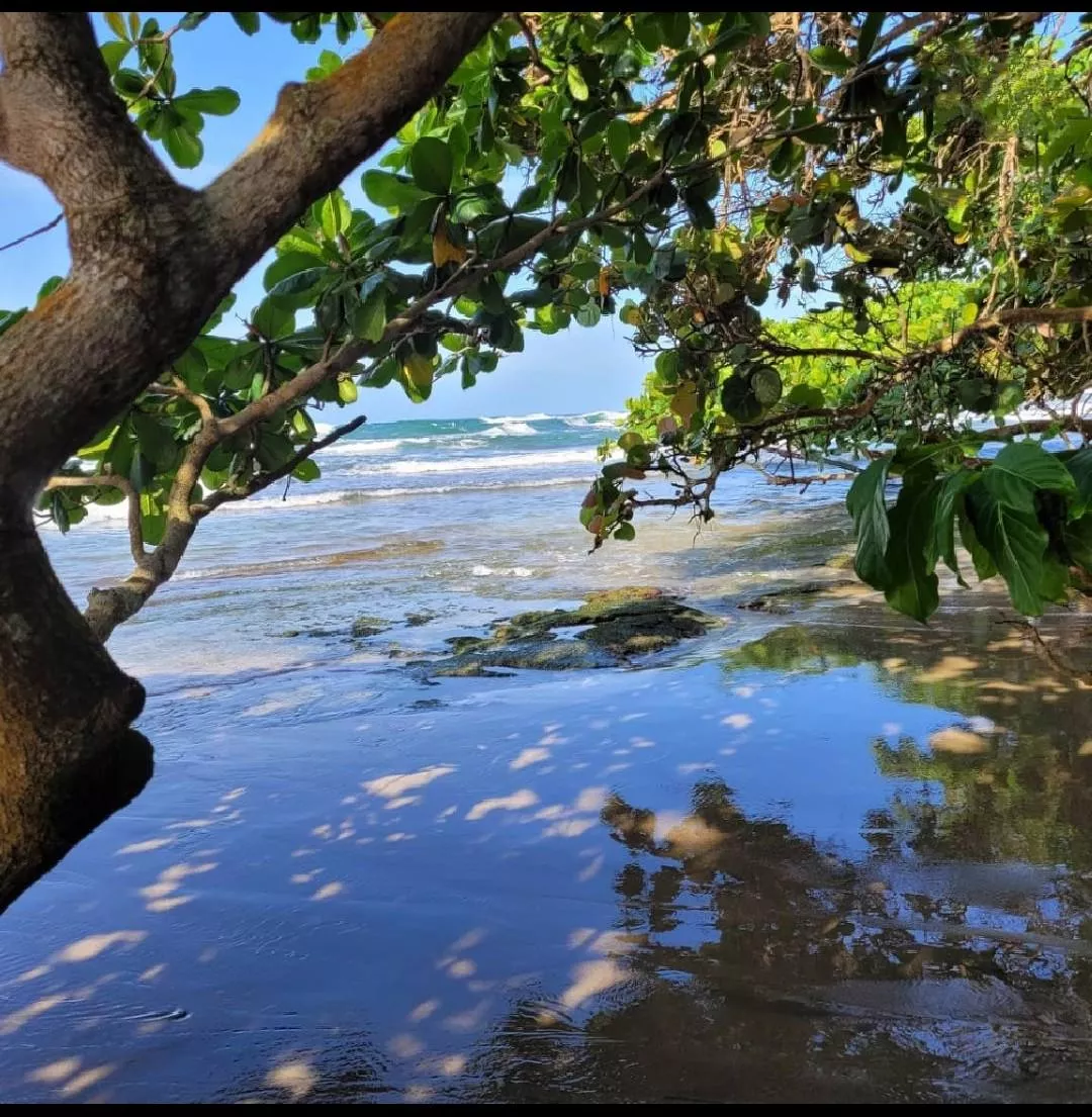 The Caribbean of Costa Rica [OC] posted by stormy_reeves