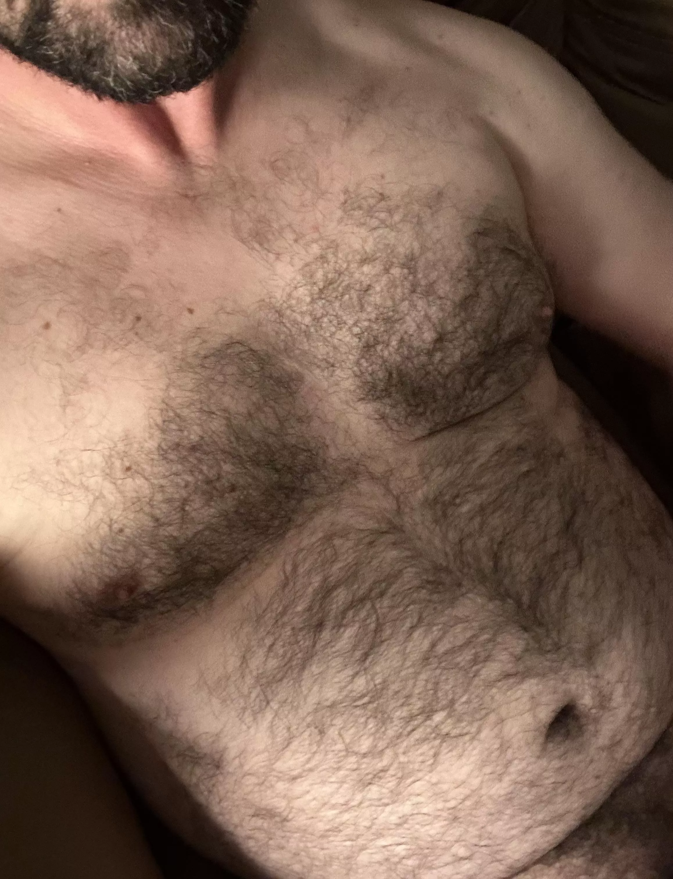 Who wants it tonight? posted by mountainfur39