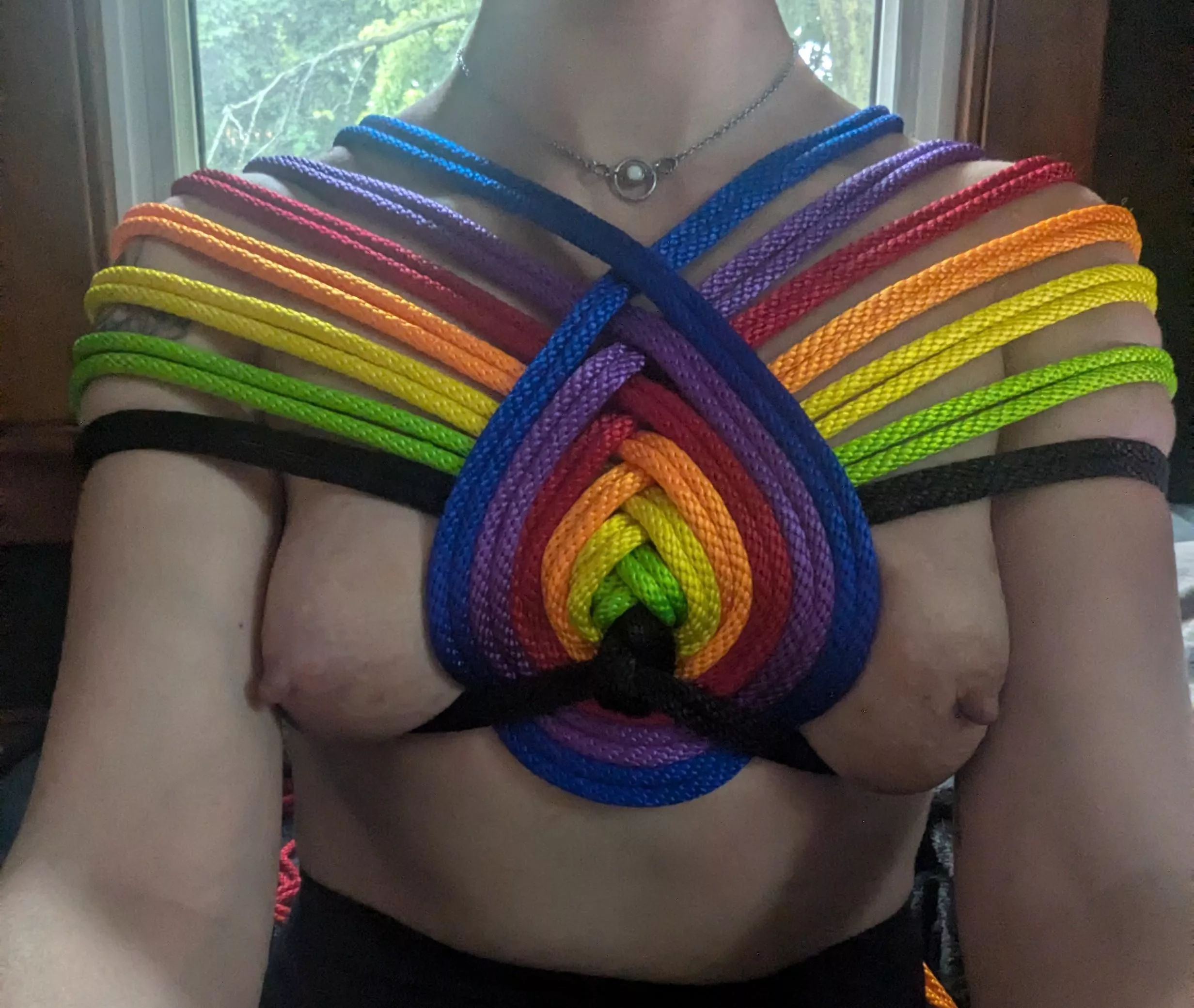 Chest Harness  posted by brokendoll1791