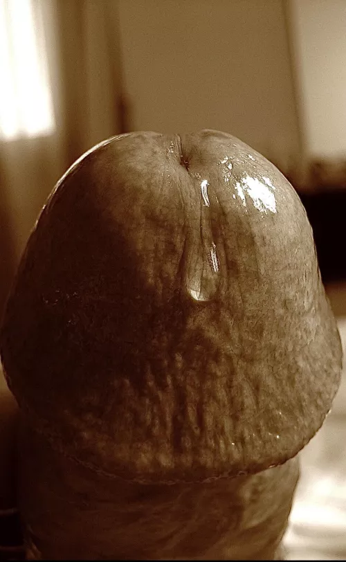 Hotel in Rome by Successful-Coat9491