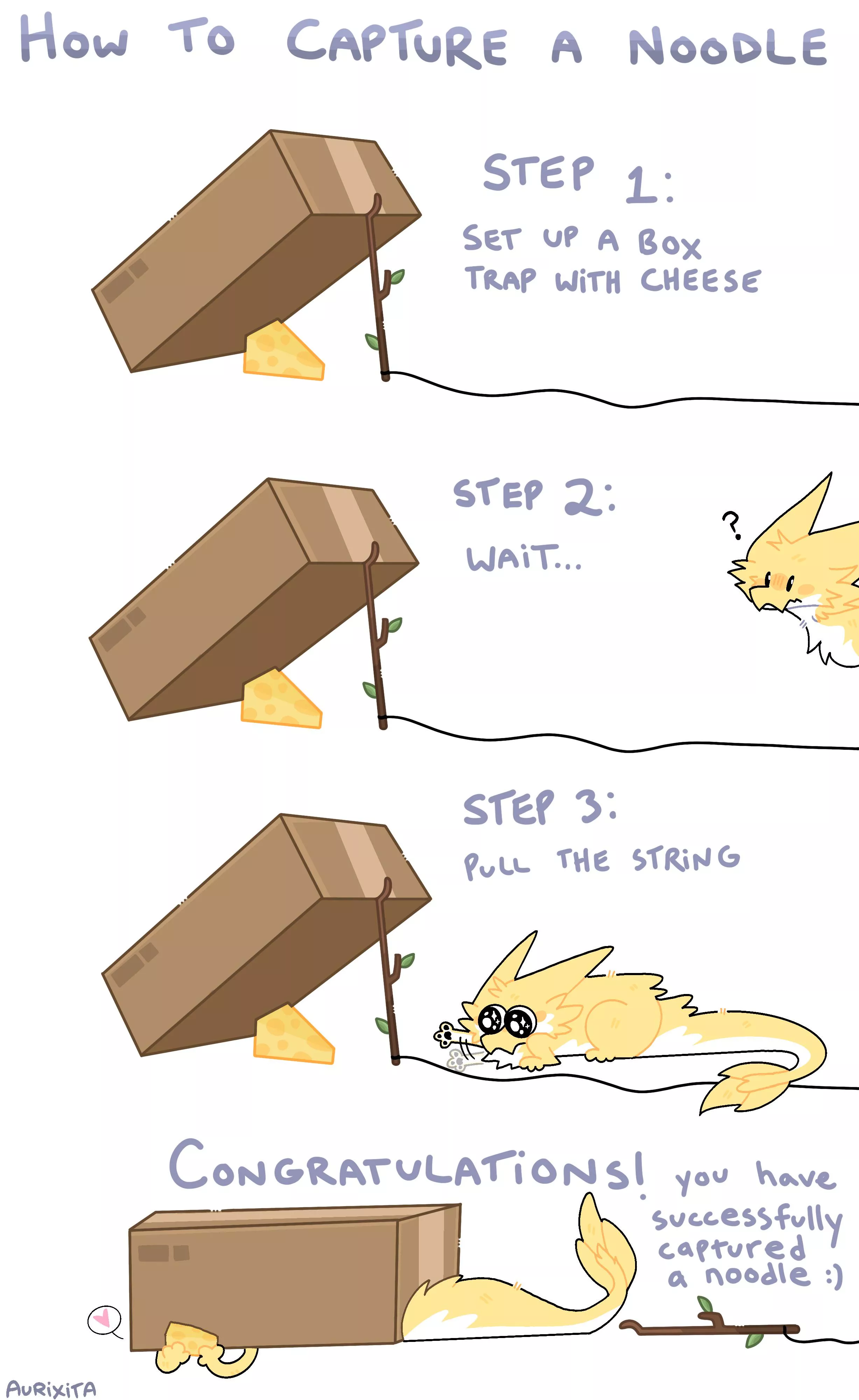 how to capture a noodle [OC] posted by _Aurixita_
