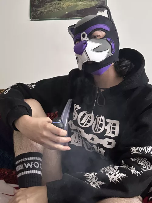 Love being a pant less pup 💜 by Tranzpuppy