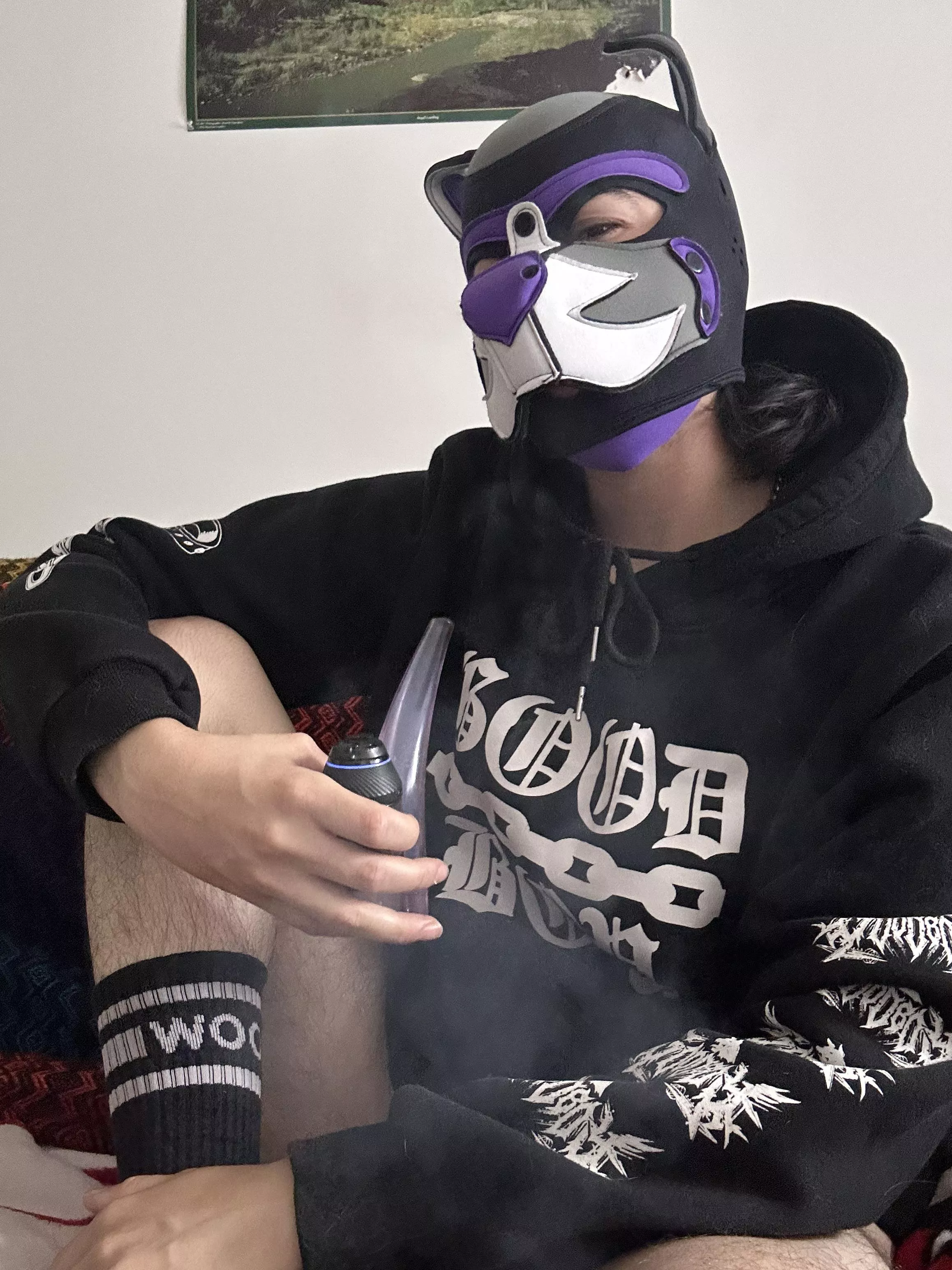 Love being a pant less pup 💜 posted by Tranzpuppy