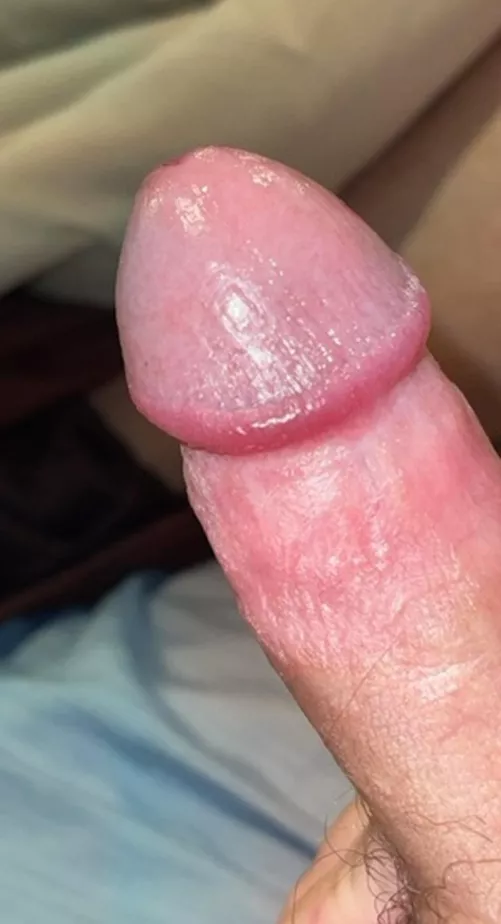 Morning wood.. by Utah_dad_bod