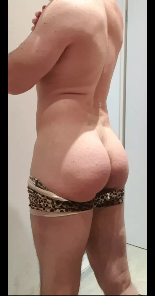 My morning routine by Fit_Pirate_5214